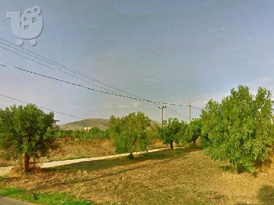 Επενδυτικό οικόπεδο εντος σχεδιου πολης, 1.138 τετραγωνικά μέτρα...
